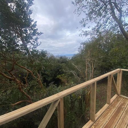Bordemundo B&B Y Cabanas Puerto Varas Eksteriør bilde